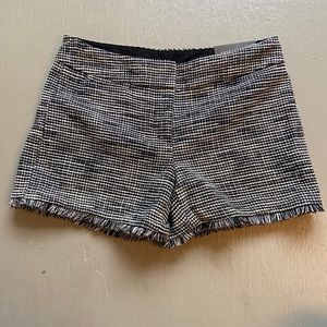 NWT Ann Taylor Shorts